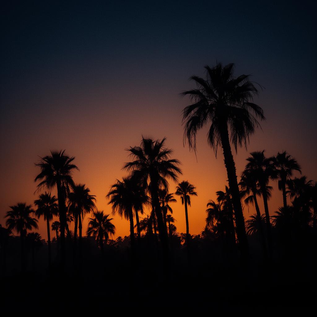 Palm Sunset Hoodie
